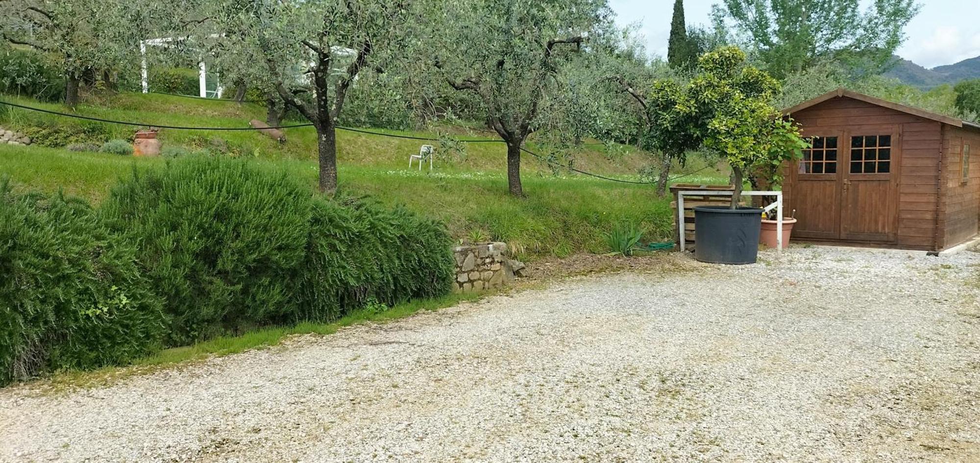 Il Campano Apartment Collodi Exterior photo