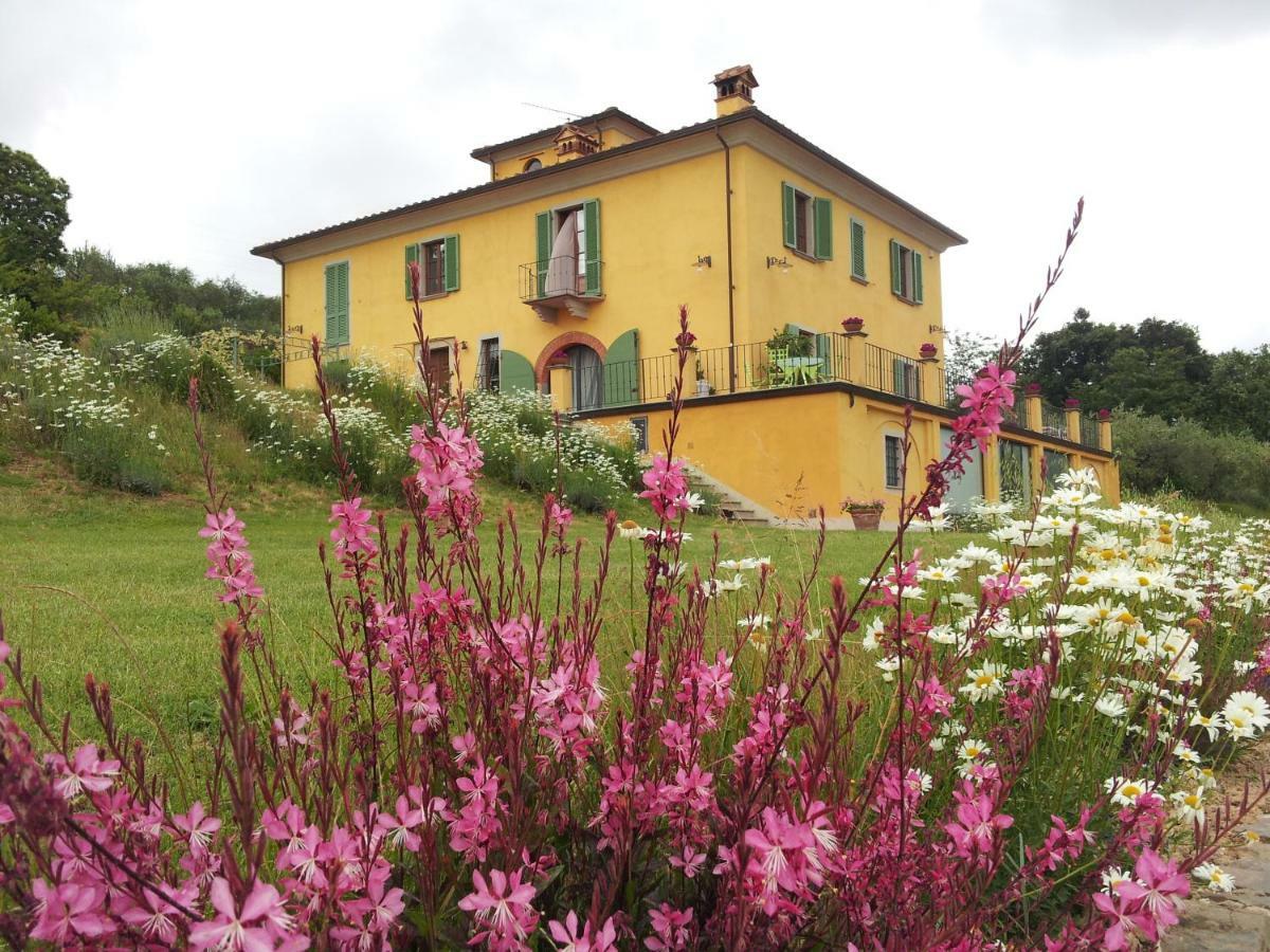 Il Campano Apartment Collodi Exterior photo